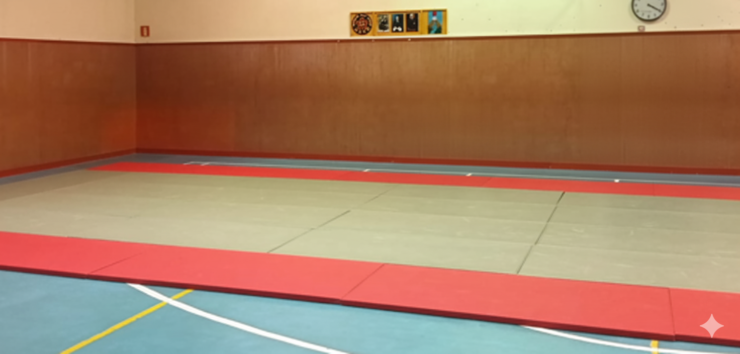 Entrenamiento Nihon Tai Jitsu